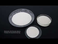 Reinigende Enzymprotease-Zellulaseamylase