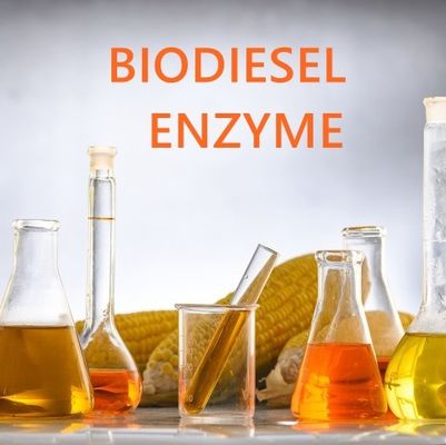 Ein guter Preis. Enzymatische Annäherungs-verschiedene Lipasen in der Biodiesel-Produktion Online