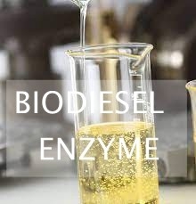 Ein guter Preis. Abfall-Lipid-enzymatische Hydrolyse für Produktion des biologischen Brennstoffes unter Verwendung der Lipasen Online