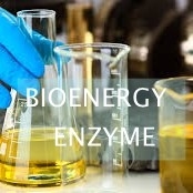 Ein guter Preis. Katalysierte Umwandlung ISO Lipase des überschüssigen Speiseöls in Biodiesel Online