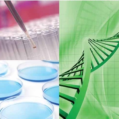 Ein guter Preis. Erhöhen Sie Ihre Biorefinery-Operationen mit der Vielseitigkeit der CALB-Enzym-Technologie Online