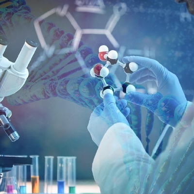 Ein guter Preis. Kommen Sie dem Wettbewerb zuvor: Nutzbarmachung des vollen Potenzials von Candida Antarctica Lipase B Online