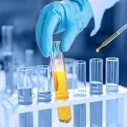 Ein guter Preis. Erfahren Sie erhöhte Leistungsfähigkeit und Präzision in der pharmazeutischen Produktion mit CALB-Enzym Online