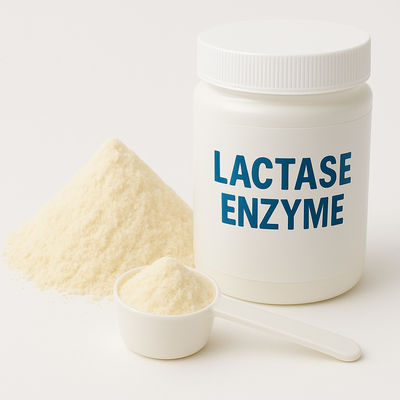 Ein guter Preis. Beta-Galactosidase-Enzym Laktasersatz für laktosefreie Milchprodukte Lebensmittelenzymen Online