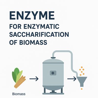 Ein guter Preis. Stabiles Alkoholenzym, optimiert für den Alkoholabbau in der Biokraftstoffproduktion und in Umweltsystemen Online
