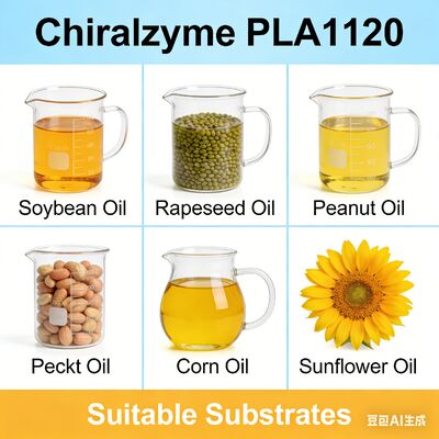 Ein guter Preis. KDN Chiralzyme PLA1120 Hocheffiziente Phospholipase für die Entschleimung von Industrieölen Online