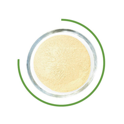 Ein guter Preis. ZellulaseTrichoderma Reesei Waschpulver Mikrobenenzyme in der Textilindustrie Online