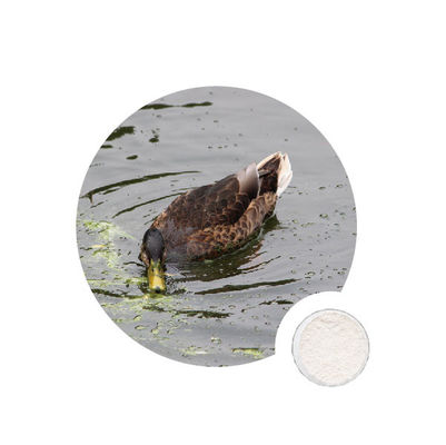 Ein guter Preis. 9025-57-4 Xylanase in der Papierindustrie Online