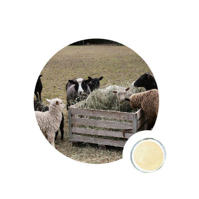 Ein guter Preis. Endo-1 4-Xylanase Oligosaccharide Online