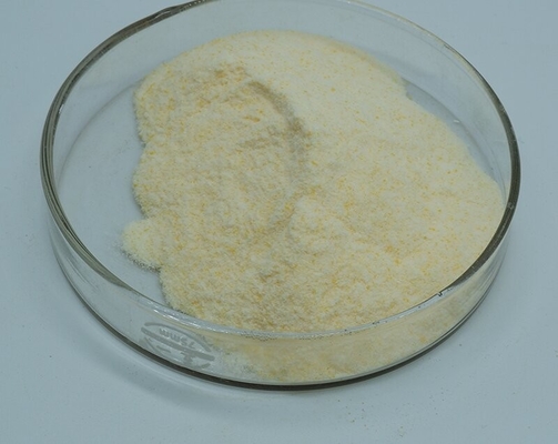 Ein guter Preis. 99% Tätigkeit Xylanase-Enzym-Lebensmittel-Zusatzstoff wasserlöslich Online