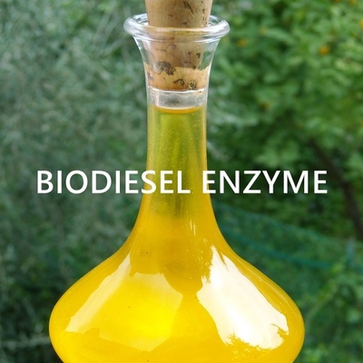 Ein guter Preis. Biodieselenzym mit hoher Löslichkeit mit stabiler Leistung und pH-Wert 7-9 Online
