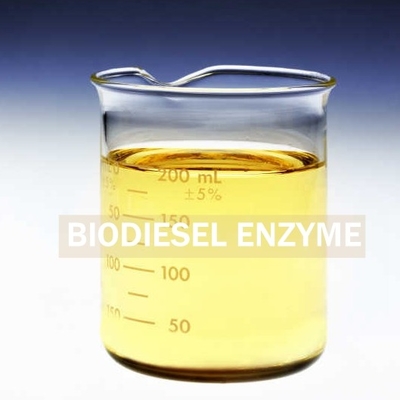 Ein guter Preis. PH 7-9 Biodiesel-Enzyme optimieren die Biodieselproduktion mit der nächsten Generation Online