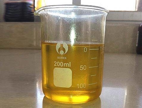 Ein guter Preis. ISO-zertifiziertes Biodiesel-Enzym zur Förderung von Stabilität und Nachhaltigkeit mit Glumass Online