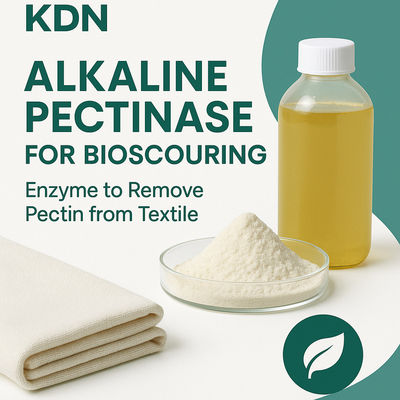 Ein guter Preis. Klassifizierung der alkalischen Pektinase-Enzyme in der industriellen Textilindustrie für bessere Ergebnisse bei der Stoffbehandlung Online