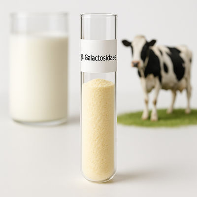 Ein guter Preis. Anpassbare Dosierung Laktosefreie Milchjoghurt in hellgelbem Pulver für verschiedene Verarbeitungsanforderungen Online