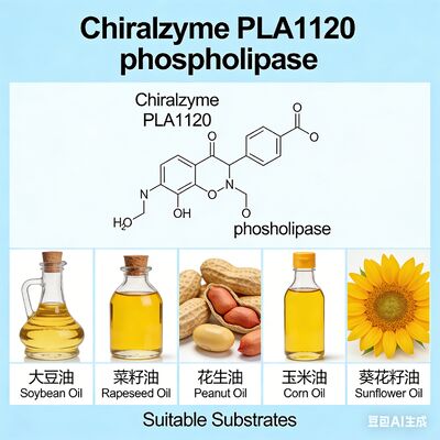 Ein guter Preis. Chiralzyme PLA1120 -- hocheffiziente Phospholipase A1 zur Ölentdeckung -- KDN Online
