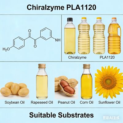 Ein guter Preis. Chiralzyme PLA1120 | Lebensmittelenzym für kostengünstige Ölraffination Online
