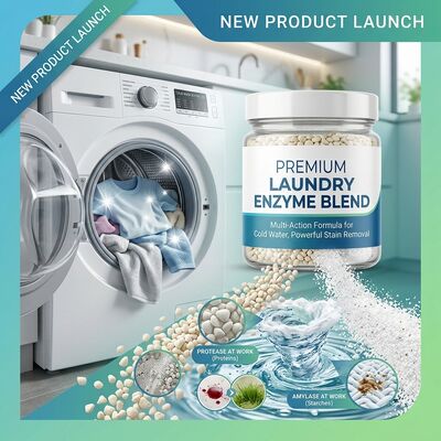 Ein guter Preis. Kaltwasser aktives Waschmittel Enzymmischung Alkaline Protease Amylase für Niedertemperaturwäsche online