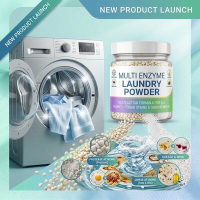 Ein guter Preis. Multi-Enzym-Hausreiniger Pulver Protease Amylase Lipase Cellulase Mehrzweck-Hausreinigung online
