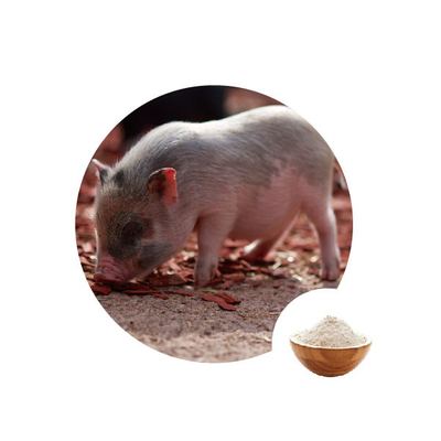 Ein guter Preis. Gox-Glucoseoxidase-Zufuhr-Zusatz für Geflügel-natürliche Giftstoff-Mappen für Schweine Online